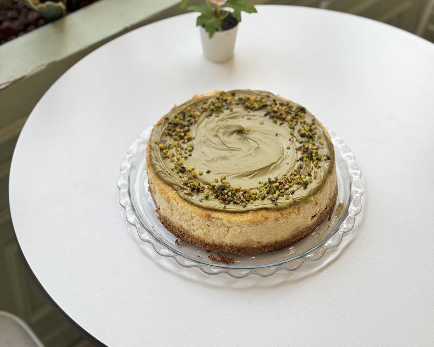 Antep Fıstıklı Cheseecake