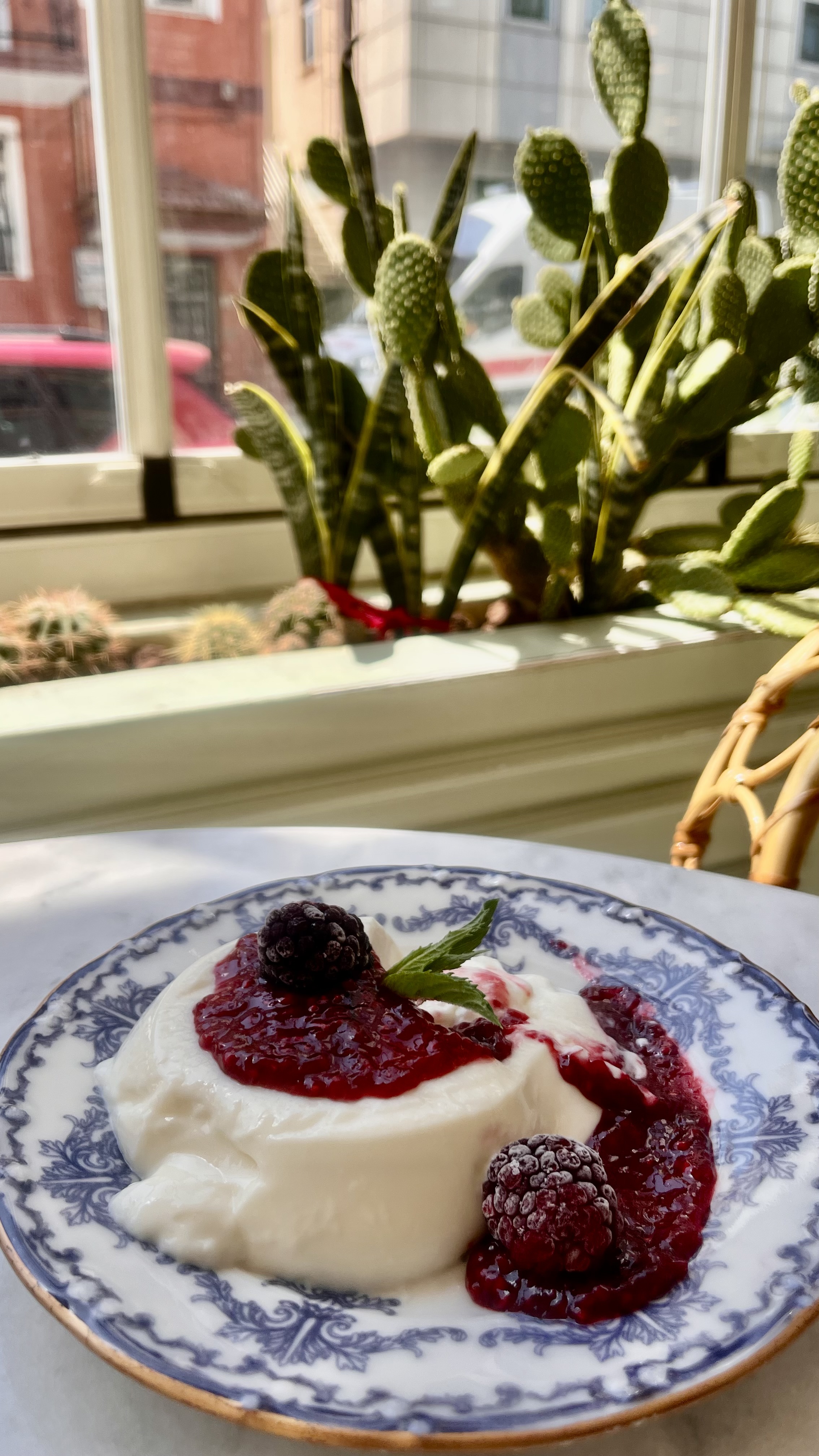 Panna Cotta