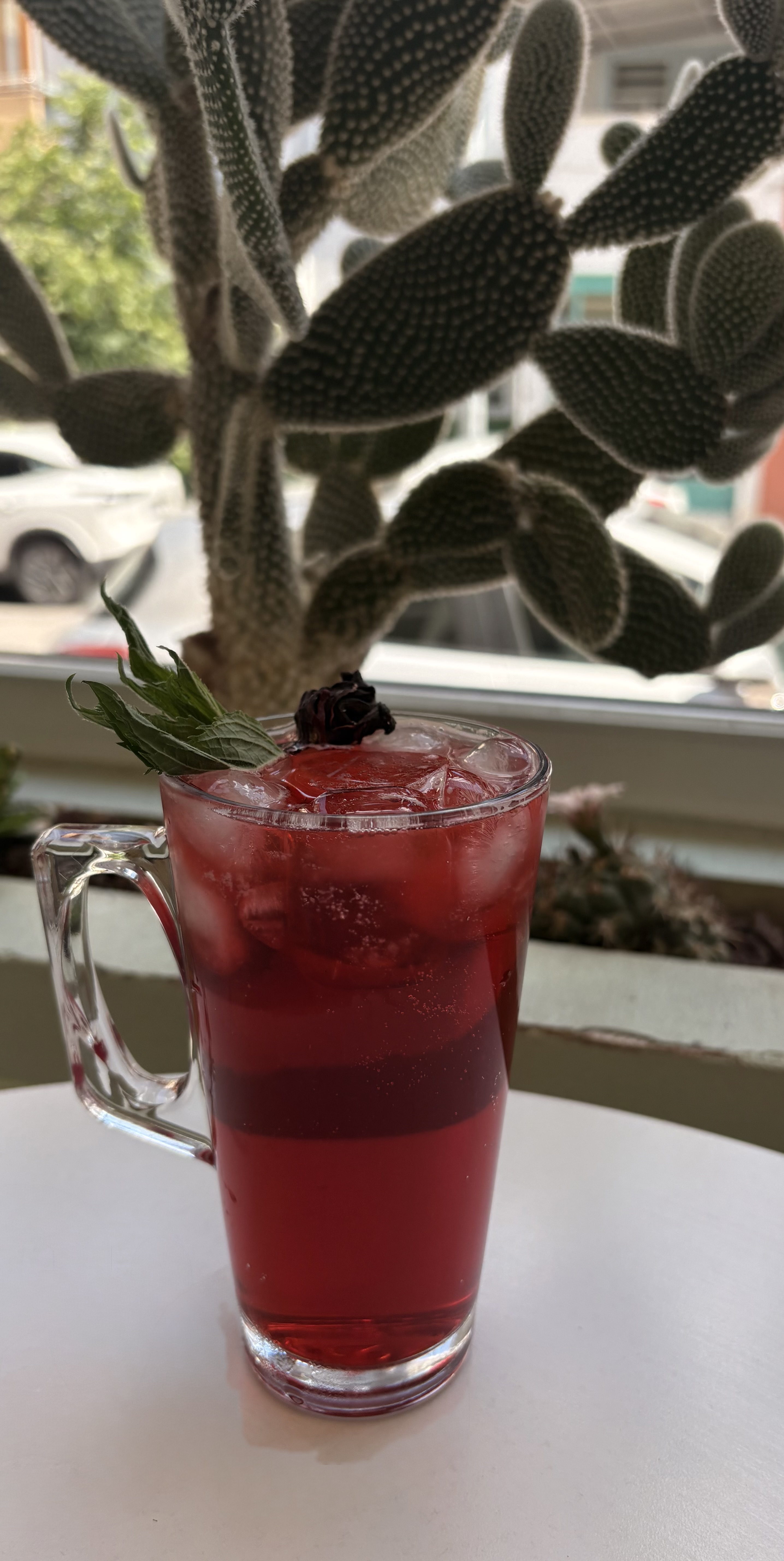 Hibiscus Mint Tea